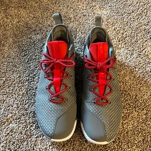 Lebron 14 Low Ohio State Exclusive